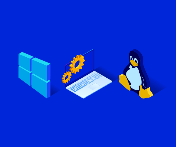 How to choose an OS for a virtual server and what does it affect?