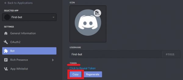 Copy Discord Bot Token
