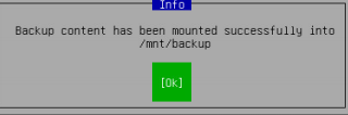 Backup is mounted to /mnt/backup path