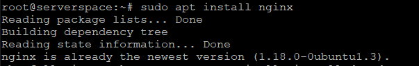Installing the Nginx web server