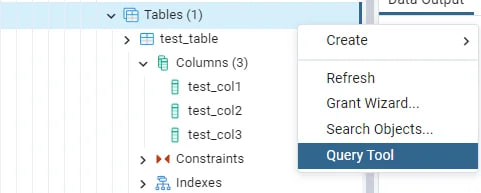 Opening the query tool