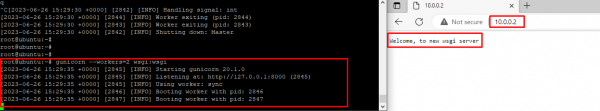 Fast and Easy Nginx Reverse Proxy Configuration Guide | Serverspace.io