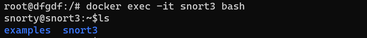 Snort config