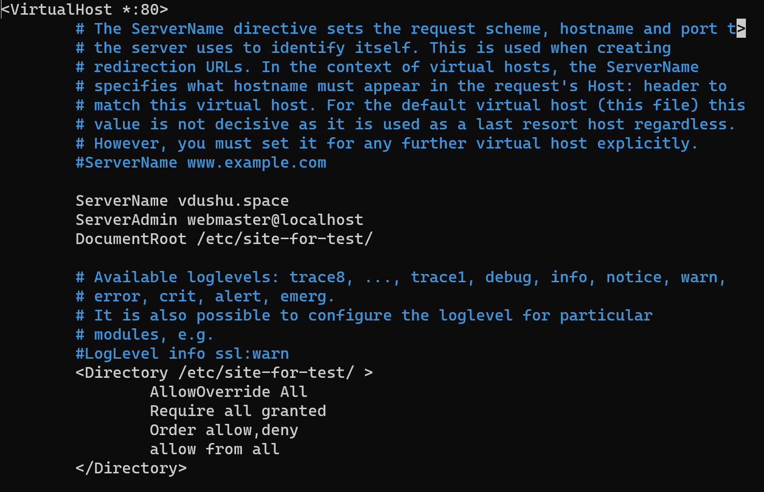 Virtual host config