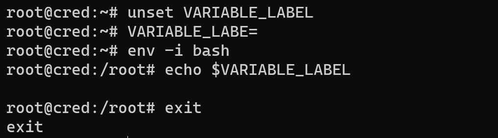 Deletion local env variable