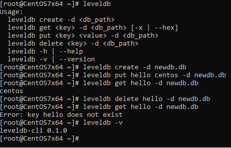 Screenshot № 1. Interface for interacting with LevelDB