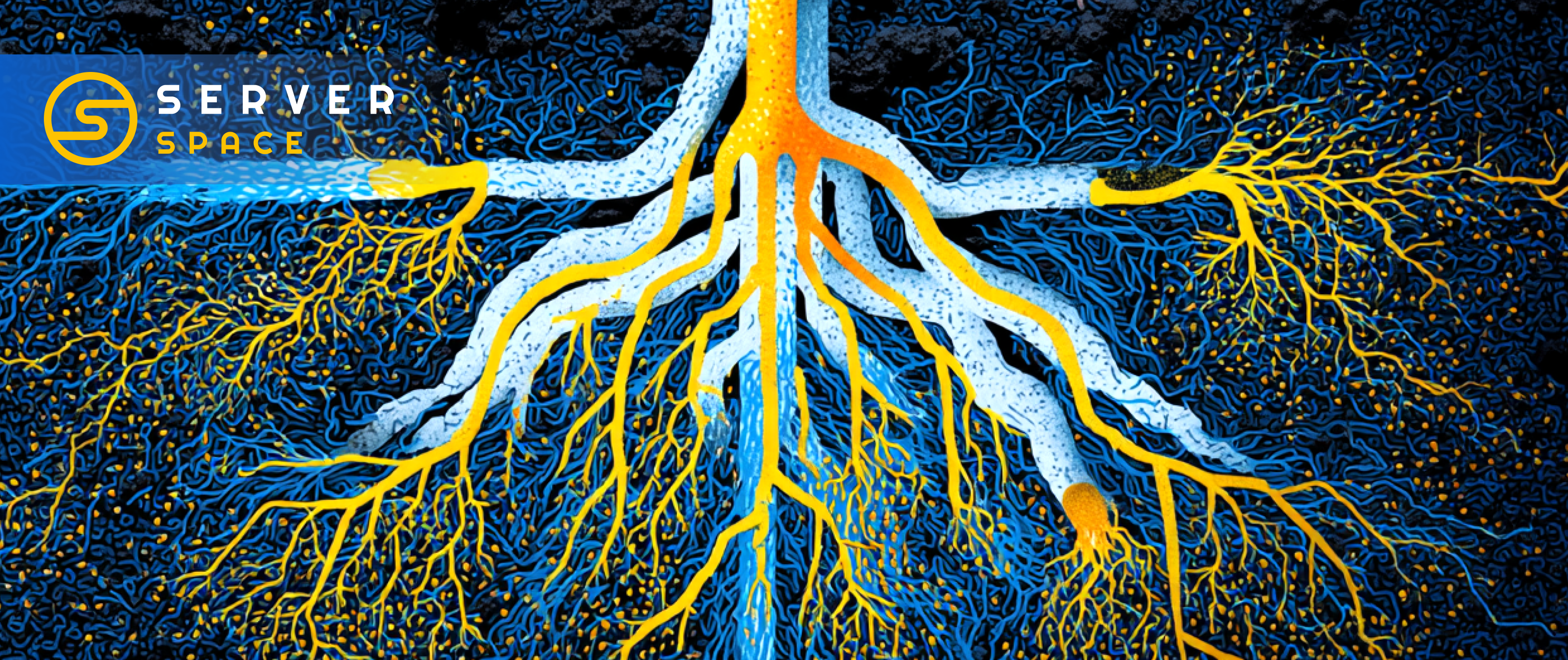 Why Developers Prefer Root Access: Power & Control